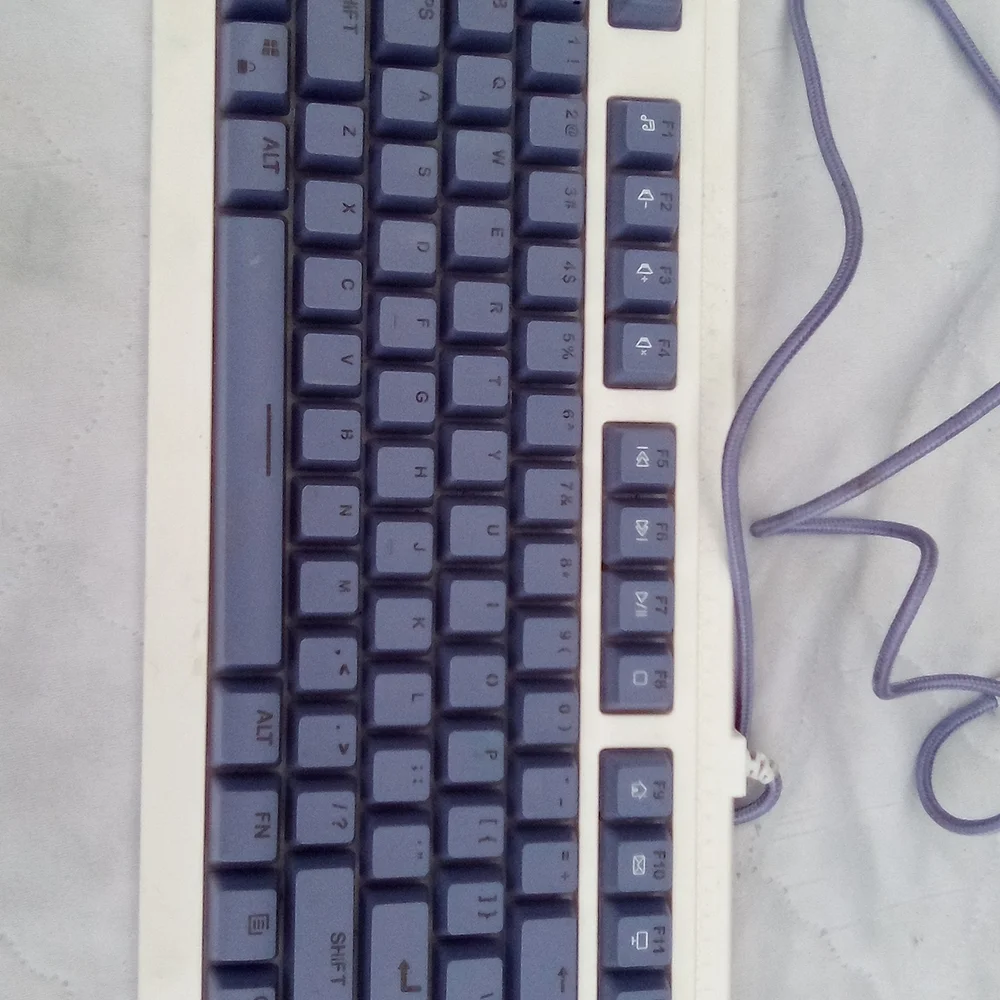 Classic White and Blue Wired Keyboard